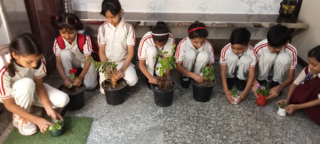 Kashish  Public School