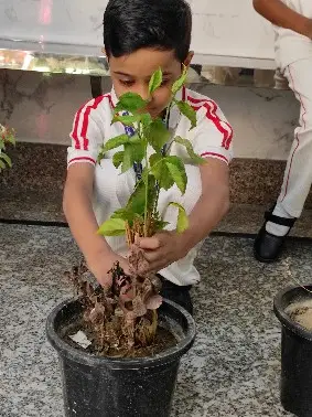 Kashish public school Khurja